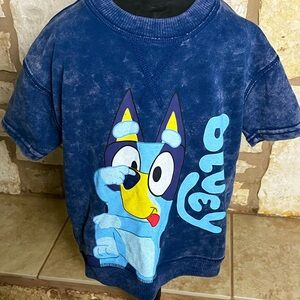 Bluey shirt